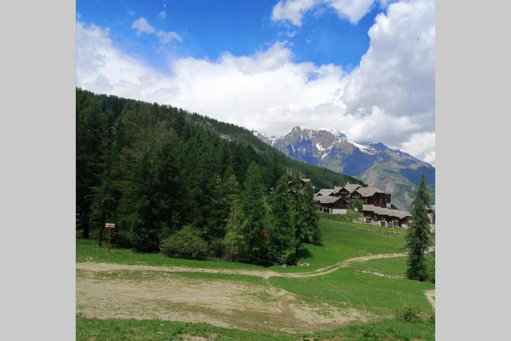 Appartement Puy Saint Vincent Alpes Du Sud Ete - Hiver Пюи-Сен-Венсан Экстерьер фото